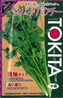 パクチー オガワのタネ パクチー オガワのタネ