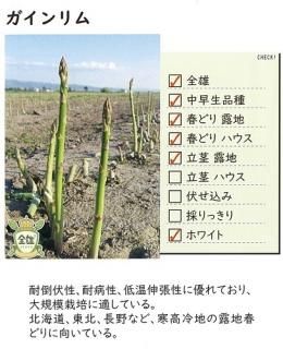 アスパラガス - オガワのタネ オンラインショップ