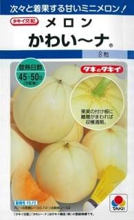 白肉メロン - オガワのタネ オンラインショップ