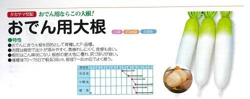 おでん用大根 ２０ｍｌ オガワのタネ