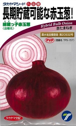 緋蔵っ子 - オガワのタネ オンラインショップ