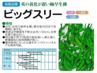 えだまめページ エダマメ種子 春から夏までまける 大粒枝豆 たわわみどり の通販