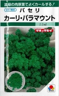 セルリー＆パセリ - オガワのタネ オンラインショップ