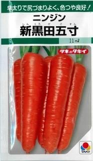 人参 - オガワのタネ オンラインショップ