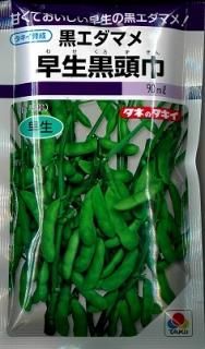 黒豆 - オガワのタネ オンラインショップ