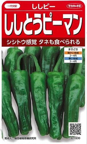 ししぴー　 Amazon.com: Water Temperature Sensor Replacement Compatible