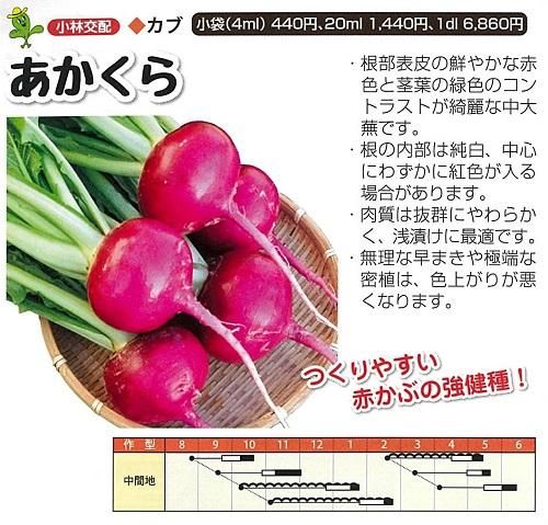 あかくら - オガワのタネ オンラインショップ