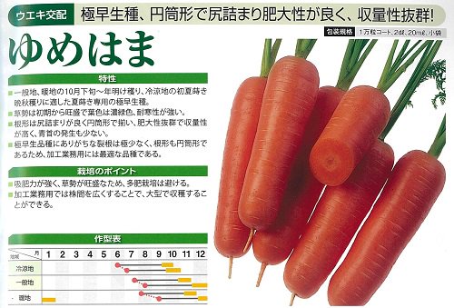 ゆめはま - オガワのタネ オンラインショップ