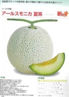 アールスメロン、今年最後の第2弾販売開始です