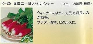 二十日大根 - オガワのタネ オンラインショップ