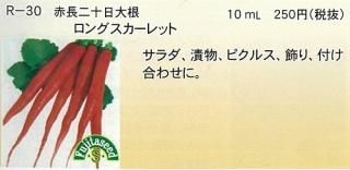 二十日大根 - オガワのタネ オンラインショップ