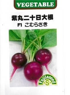 二十日大根 - オガワのタネ オンラインショップ