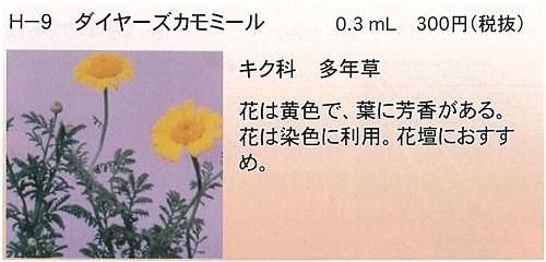 ダイヤーズカモミール ０ ３ｍｌ キク科多年草 オガワのタネ オンラインショップ