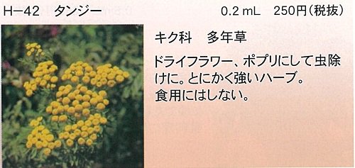 タンジー ０ １ｍｌ キク科多年草 オガワのタネ オンラインショップ