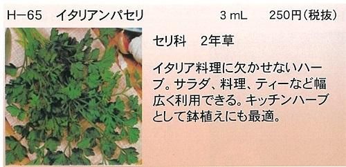 イタリアンパセリ ３ｍｌ セリ科２年草 オガワのタネ
