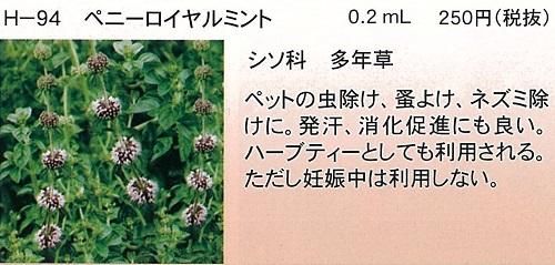 ペニーロイヤルミント ０ ２ｍｌ シソ科多年草 オガワのタネ