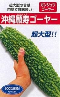 沖縄野菜 - オガワのタネ オンラインショップ