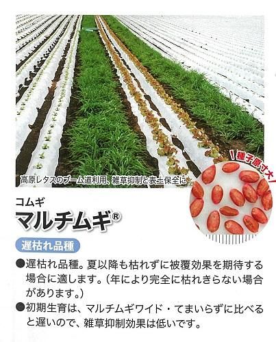 Amazon.co.jp: オオムギ てまいらずE 1kg カネコ種苗 リビング