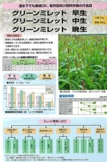 牧草(緑肥) - オガワのタネ オンラインショップ 牧草(緑肥) - オガワのタネ オンラインショップ