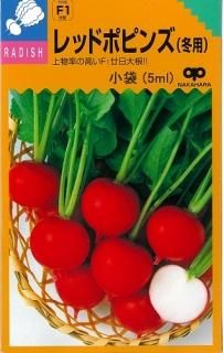 二十日大根 - オガワのタネ オンラインショップ