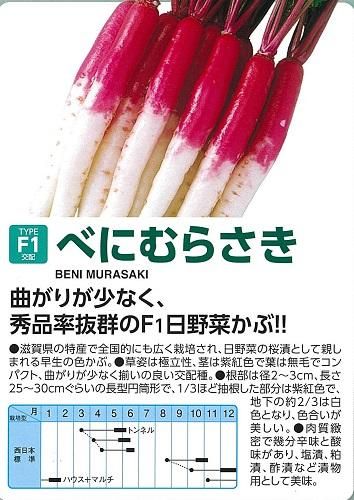 べにむらさき - オガワのタネ オンラインショップ