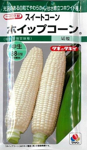 ホイップコーン[とうもろこし] - e-種や｜国内最大級の野菜種