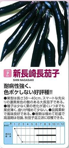 落ちてる茄子 長なすぶらぶら🍆」 “テントウムシダマシ”に壊滅させられた“長