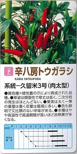 辛八房トウガラシ - オガワのタネ オンラインショップ