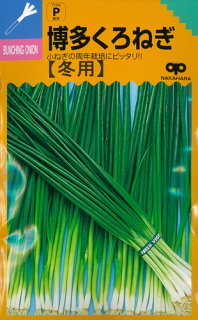 ねぎはや 葉ネギ - オガワのタネ オンラインショップ