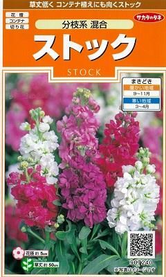 ストック 切り花用 分枝系混合 オガワのタネ ストック 切り花用 分枝系混合 オガワのタネ