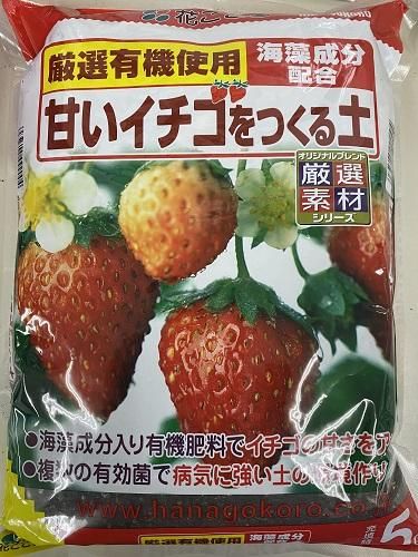 甘いイチゴをつくる土 ５l オガワのタネ