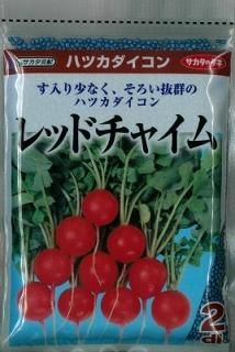 ブランド品専門の 二十日大根 オンラインショップ オガワのタネ - 野菜