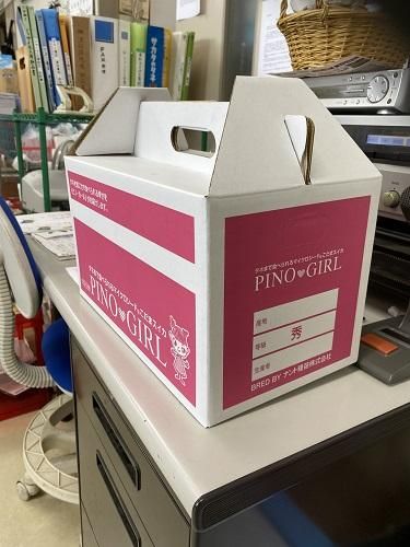 ２・山梨県・elle.wds.bob・ピノガール 2・山梨県・elle.wds.bob・ピノガール 小玉スイカ・ピノガール