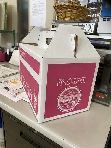 ピノ・ガール出荷用箱（2玉箱）（メーカー直送※別途送料