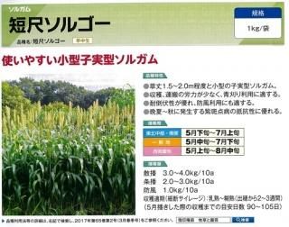 牧草(緑肥） - オガワのタネ オンラインショップ