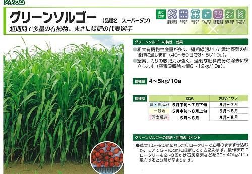 ソルゴー　牧草　8キロ ソルゴー 牧草 8キロ 【公式通販】