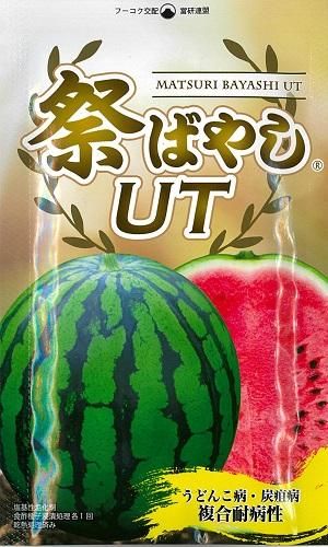 祭ばやしUT - オガワのタネ オンラインショップ