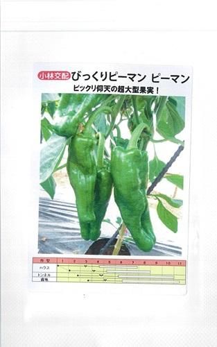 びっくりピーマン - オガワのタネ オンラインショップ