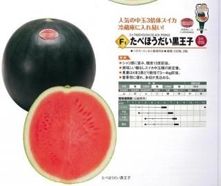 種なしスイカ - オガワのタネ オンラインショップ