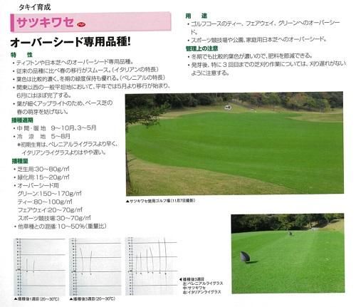 レピーヌ・スタニテラス、セーヌ川の畔、希少な画集より、新品