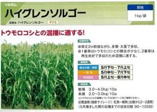 牧草(緑肥） - オガワのタネ オンラインショップ