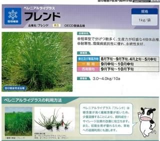 イタリアンライグラス - オガワのタネ オンラインショップ