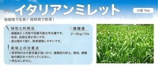 牧草(緑肥) - オガワのタネ オンラインショップ 牧草(緑肥) - オガワのタネ オンラインショップ