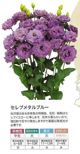 167071732.jpg?cmsp_timestamp=