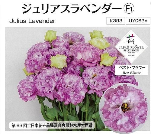 ジュリアスラベンダー - オガワのタネ オンラインショップ