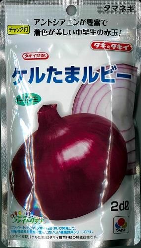 玉ねぎ苗 中早生 ケルたまルビー 500本 農薬不使用