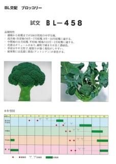 ブロッコリー - オガワのタネ オンラインショップ