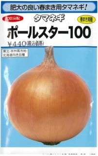玉ねぎ（中生・遅手） - オガワのタネ オンラインショップ