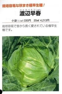 渡辺採種場 - オガワのタネ オンラインショップ 渡辺採種場 - オガワのタネ オンラインショップ