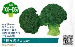 ブロッコリー - オガワのタネ オンラインショップ ブロッコリー - オガワのタネ オンラインショップ